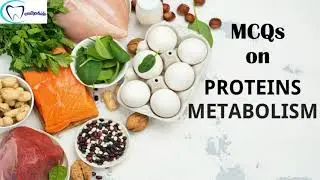MCQs on Proteins and amino acids metabolism || Biochemistry || Dentophile