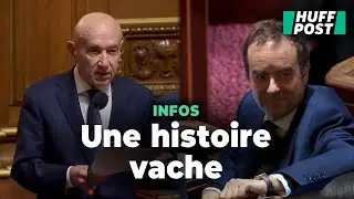 &laquo; La vache de Zuc &raquo; : contre la taxe Zucman, ce s&eacute;nateur tente l&rsquo;humour
