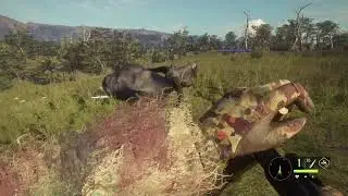 The Hunter Call Of The Wild, Tuto Comment Jouer en Ligne? L'apex Connect ne marche pas en ce moment!