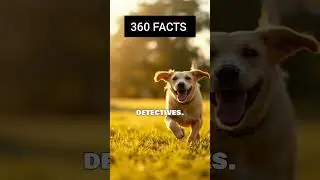 Hidden facts about Dogs #science #dogs #petslovers #factshorts #trending