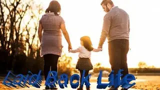 Laid Back Life New Hindi Song 2025 by Salfi