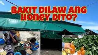 Cabangan Zambales market Adventure | Nakabili ako ng yellow na honey...