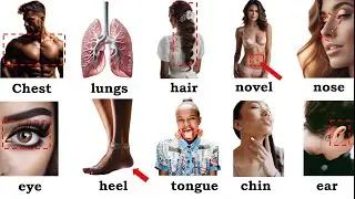 Body Parts Vocabulary| Parts of Body in English + Self -Test