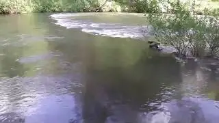 Hotel Avène  et la  rivière Orb