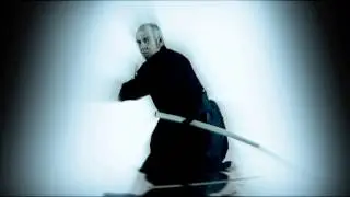 Metatron Art Studio-Shugotenshi Karate Do (Commercial)