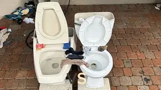 Beige Kohler Rochelle toilet vs glacier bay marathon ll toilet