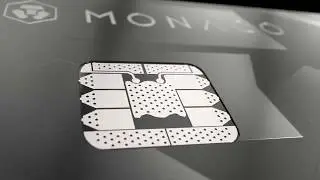 MONACO VISA Card