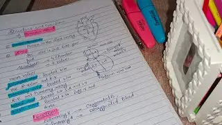Human Heart Structure and Function Explanation With Diagram #humanheart #heart #lecture #science