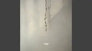 Vrbice (Mikaji Remix)