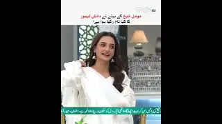 Dino Mamu 🤭✨#shorts #dino #momalsheikh #danishtaimoor #mehfileramzan #greentv
