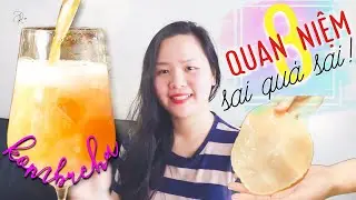 8 Quan Niệm Sai Lầm về KOMBUCHA (Trà Lên Men)