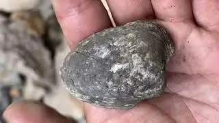 Fossil hunting | along  the scioto River I found a geode! And possibly a trilobite?!