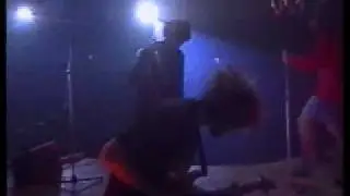Monkeys Work in New York
