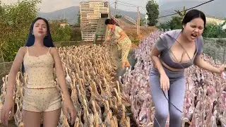 Truck Transporting Ducks to a New Land | A Unique Journey Through Rural Vietnam
