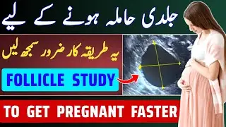 Follicle Study To Get Pregnant Faster | How To Get Pregnant Fast After Periods With Follicle Study