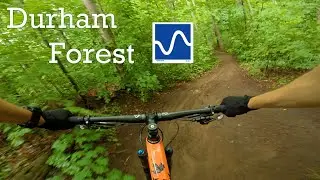 Durham Forest Mountain Biking - Lush Green after Rainfall