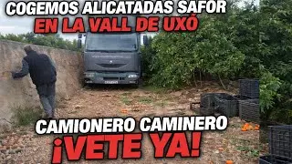 COGEMOS ALICATADAS SAFOR EN LA VALL DE UXO + CAMIONERO CAMINERO VETE YA