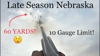 Late Season Nebraska Goose Hunt - Limited out with my 10ga! (American Arms Devastator Bismuth Load)