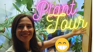 Houseplant Tour 2023: te enseño nuevas adquisiciones y cambios en las plantas de mi estudio!