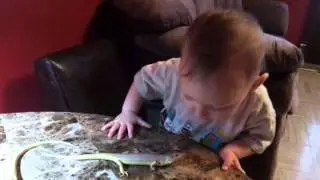 Lizard kiss