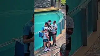 It's Tom The Mime At Seaworld Orlando #tomthemime #mime #seaworldorlando #seaworld