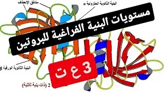 ملخص العلاقة بين بنية و وظيفة البروتين 💯  الجزء الاول 💯 سنة ثالثة ثانوي