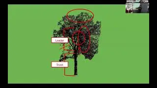 No. 5 - 32nd Western Colorado Community Forestry Conference
