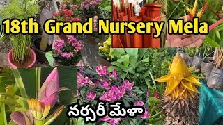 18th Grand Nursery Mela 2025 in Hyderabad | Biggest Plant Expo| Horticulture Exhibition #nurserymela