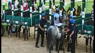 Excellent Jem - Wolverhampton Racecourse - 21 Sept 2013