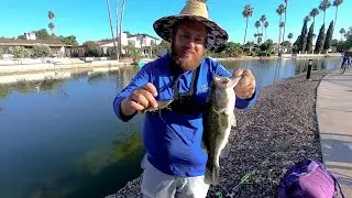 Google Maps Fishing Challenge - Bass Fishing Urban Ponds In An Unfamiliar City (Phoenix, Arizona.)