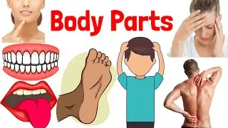 Body parts name in Hindi and English | शरीर के अंग, human body parts name, #bodypartsname 