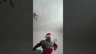 27 декабря 2024 г.
