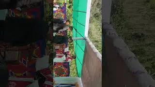 Groom & bride entrance( Mr. Graceson Panmei & joycy Ruangmei) 
