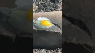 I cooked an Egg on a ROCK! #shorts