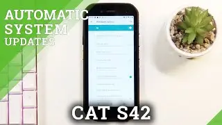 How to Allow Auto Updates in CAT S42 &ndash; Turn On Auto Apps Updates