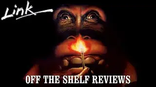 Link Review - Off The Shelf Reviews