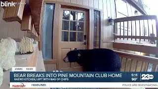 Bear breaks into Pine Mountain Club home, raids kitchen for snacks in hour-long visit