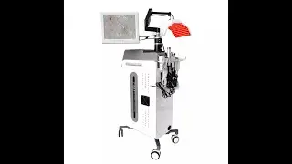PDT Water Deep Clean Facial Machine 10 In 1 Skin Management Device For Skin Rejunevate Hair growth