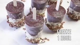 Cocoa Pudding Pops