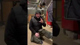 Больше полезного в тг aromafarrierlife
