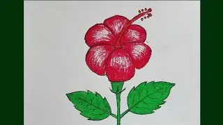 How to draw a China Rose easy || Hibiscus flower drawing step by step for beginners