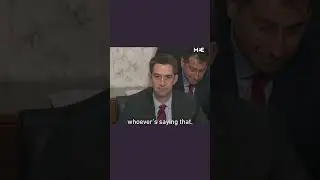 US Senator Tom Cotton calls pro-Palestine activist a &ldquo;Codepink lunatic&rdquo;