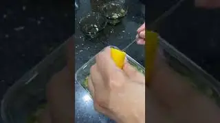 Mascarilla de aguacate 🥑 y lim&oacute;n 🍋 para hidratar la piel.