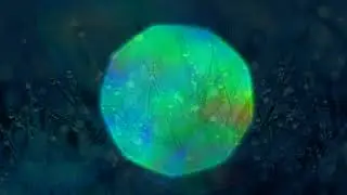 Electrodrop