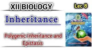 polygenic inheritance and epistasis lec 8 || Inheritance Class 12 bio new book