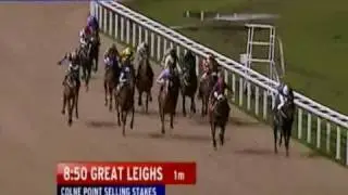 Top Tipster Live 2008
