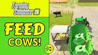 Farming Simulator 25 How to Feed Cows - Meadow Grass & TMR Explained