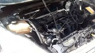 New fiesta não pega!