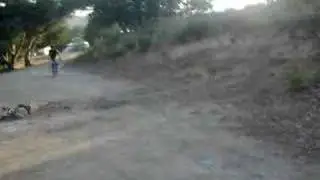 stevie dair devil