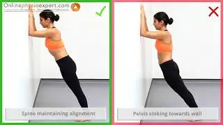 Plank Exercise Variations - Level 1 Wall Plank